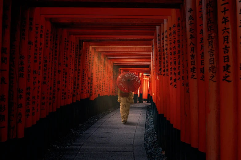 a man walking through a tunnel of red tori tori tori tori tori tori tori tori tori tori, by Torii Kiyomasu, fan ho photography, girl under lantern, japanese mascot, epic red - orange sunlight