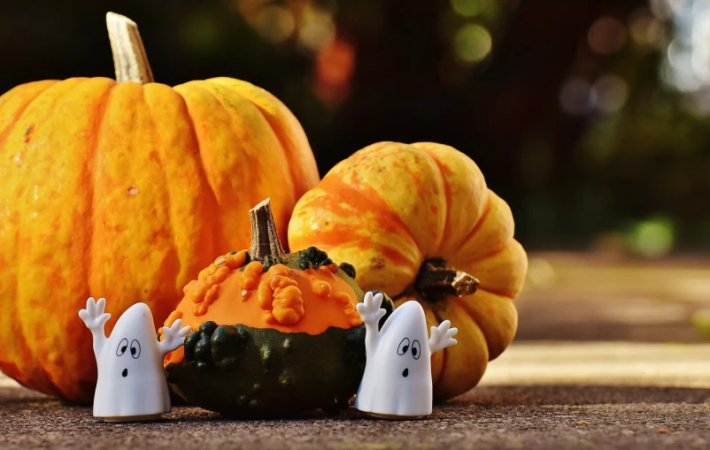 a group of small pumpkins sitting next to each other, a picture, by Maksimilijan Vanka, pixabay, casper the friendly ghost, background image, ad image, in the background