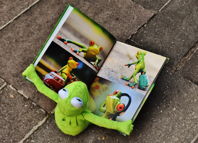a stuffed frog sitting on the ground next to a book, a picture, inspired by Károly Brocky, photography hight quality, kermit driving a car, lots of pictures, photoshooting