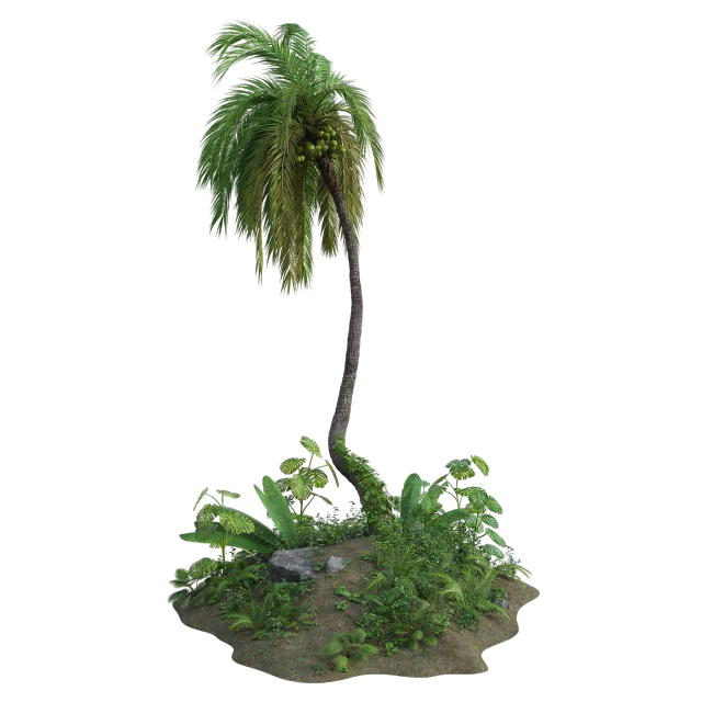 a palm tree sitting on top of a lush green field, a 3D render, trending on polycount, realism, lot of exotic vegetation, point cloud, tropic plants and flowers, in a tropical forest