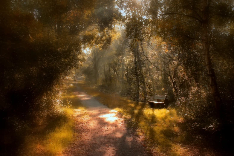 a bench sitting in the middle of a forest, a digital painting, inspired by John Atkinson Grimshaw, tonalism, sunny atmosphere, pathway, in the painting style of renoir, photo shot