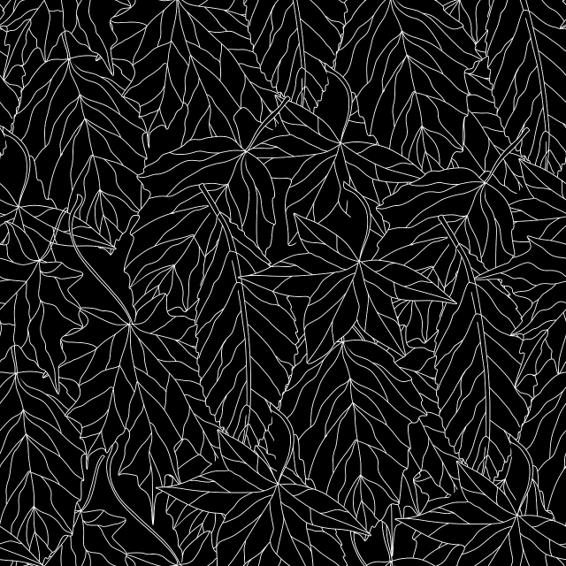 a pattern of leaves on a black background, lineart, by Maruja Mallo, wallpaper - 1 0 2 4, hedi slimane, digital art h 9 6 0, high quality screenshot