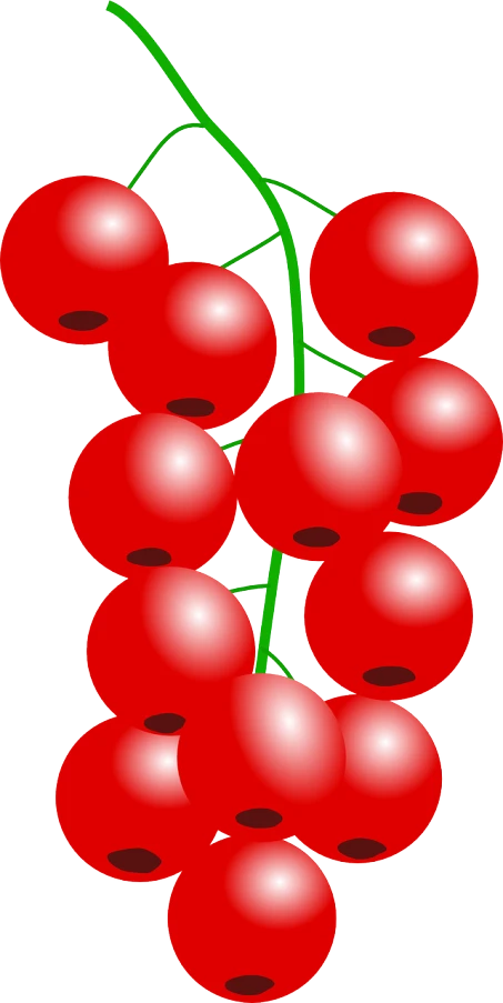 a bunch of red berries on a branch, a digital rendering, by Ayako Rokkaku, bauhaus, clip art, pillar, also tomato, 1128x191 resolution