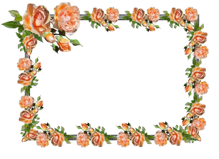 a frame made of orange roses on a black background, a digital rendering, many peonies, beautiful random images, metal border, rectangular