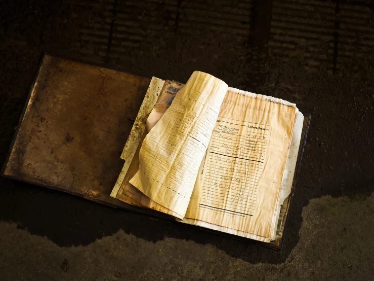 an open book sitting on top of a dirty floor, by Adam Chmielowski, old scientific document, in an abandoned barn, high res photo, document photo