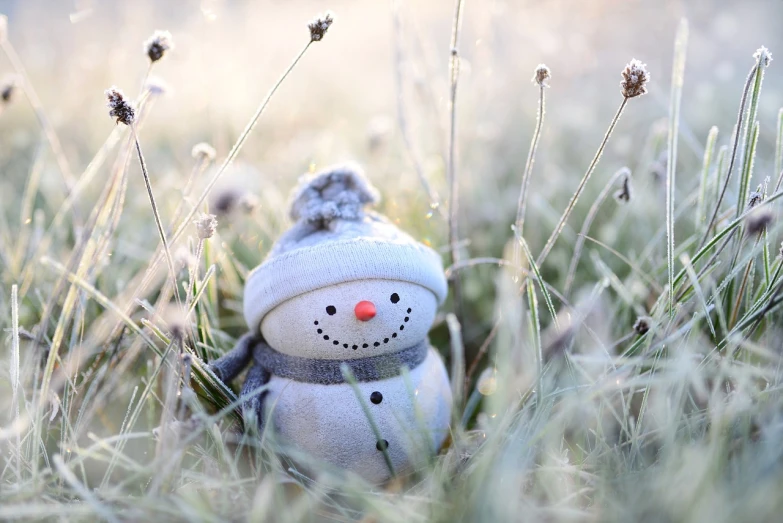 a snowman that is sitting in the grass, a picture, pixabay, 🕹️ 😎 🔫 🤖 🚬, soft and warm, small smile, frosted