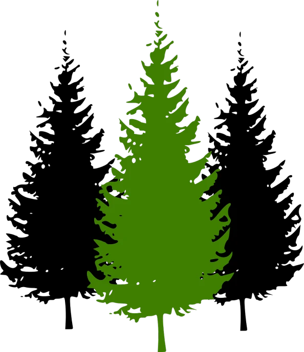a green pine tree on a black background, black backround. inkscape, profile picture, stencil, greenish colors