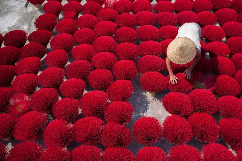 a person kneeling in a field of red flowers, inspired by Scarlett Hooft Graafland, land art, traditional chinese textures, incense, kyoto, market in japan