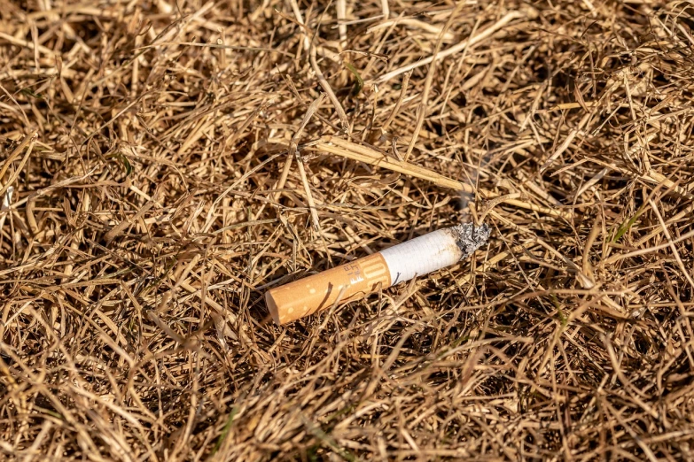 a cigarette sitting on top of dry grass, fotografia