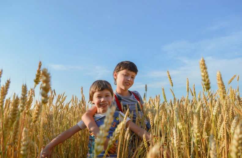 two children standing in a field of wheat, a portrait, by Alexander Fedosav, pexels, symbolism, happy sunny day, stock photo, boy, marketing photo