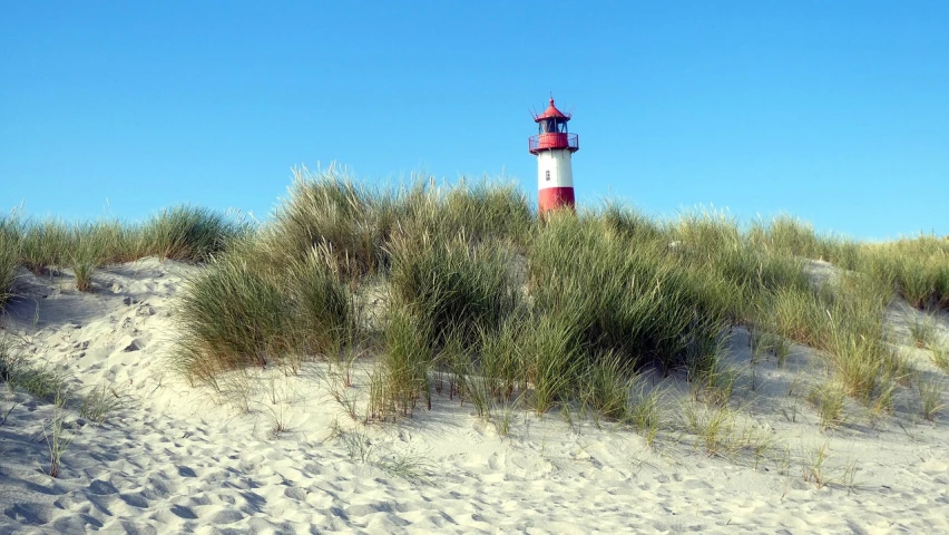 a red and white lighthouse sitting on top of a sandy beach, a photo, by Karl Hagedorn, grass, extremely clear and coherent, lightbox, wikipedia