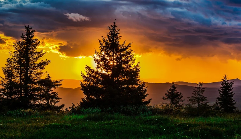 a couple of trees sitting on top of a lush green field, by Alexander Bogen, mountains and colorful sunset!!, fir trees, looking over west virginia, sun after a storm