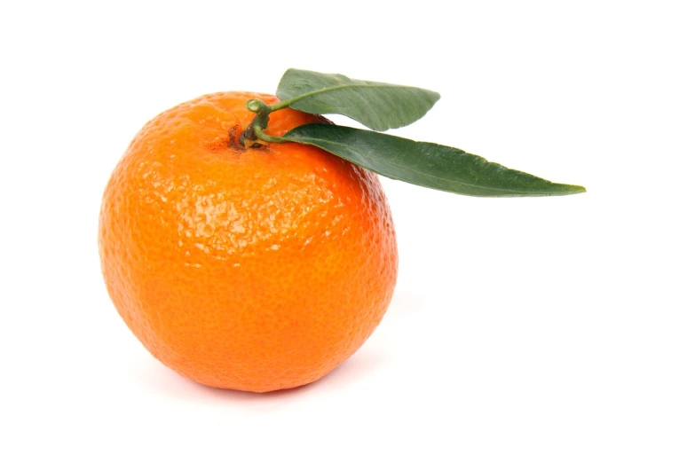 an orange with a leaf on top of it, istock, very known photo, grain”, portlet photo