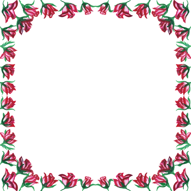 a floral frame with red flowers on a black background, inspired by Jacopo Bassano, art nouveau, tulips, drawn in microsoft paint, fuchsia, squared border