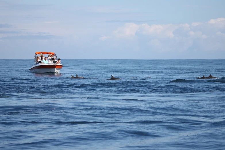 a group of people riding on top of a boat in the ocean, by Judith Gutierrez, sumatraism, dolphins swimming, marbella, small boat in the foreground, dlsr photo