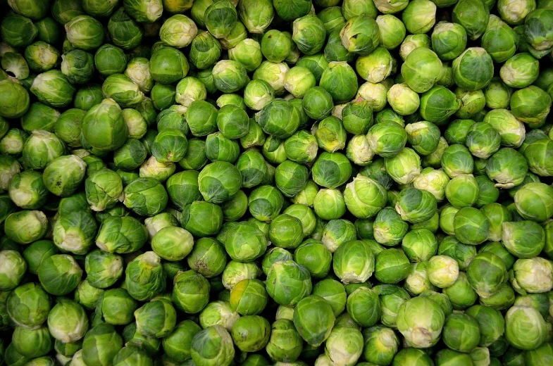 a pile of brussel sprouts sitting on top of each other, precisionism, portra 8 0 0 ”, wikipedia, vert coherent, ffffound