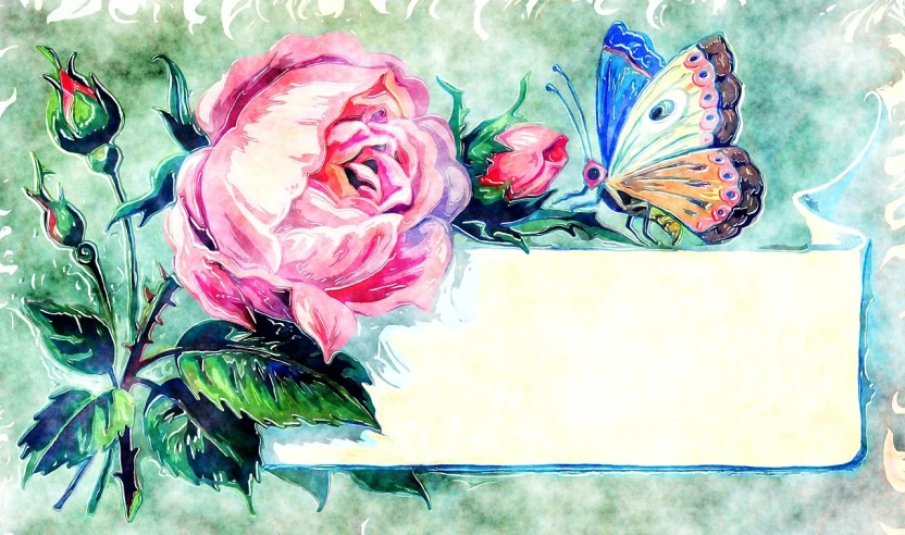 a painting of a pink rose and a butterfly, a watercolor painting, by Caroline Chariot-Dayez, trending on pixabay, paper border, website banner, turquoise pink and green, beautiful art uhd 4 k