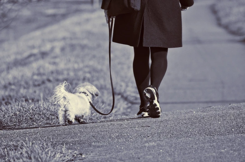 a person walking a small dog on a leash, a photo, by Mirko Rački, retro stylised, blog-photo, aleksandra waliszewska, two legs