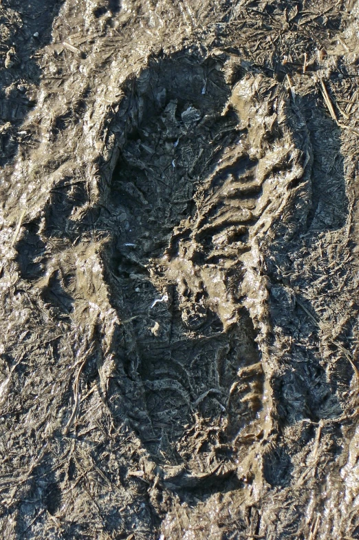 a close up of a foot print in the mud, by Alison Watt, flickr, land art, shiny layered geological strata, camo made of teeth, equine, fine detail post processing