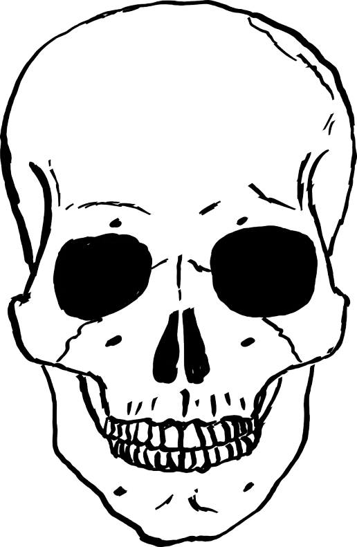a black and white drawing of a skull, vector art, by Robert Freebairn, human skeleton, ms paint drawing, scary, human jaw