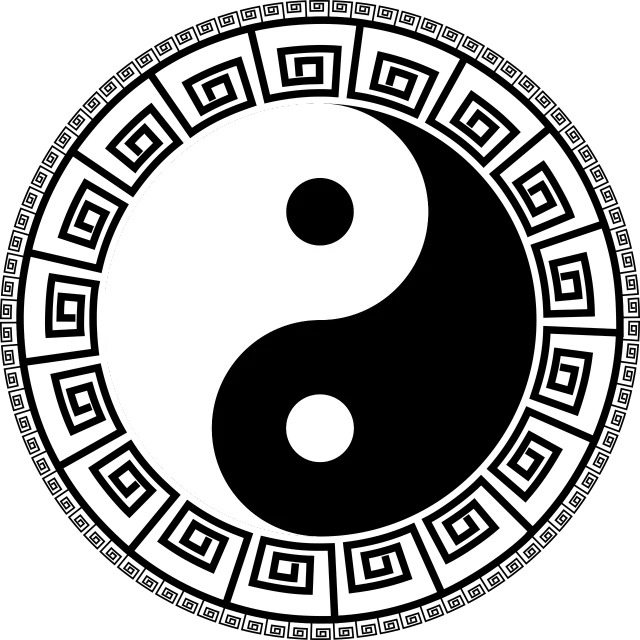 a white yin symbol on a black background, a picture, inspired by Wu Wei, purism, unbalanced, dang ngo, duality, taiwan