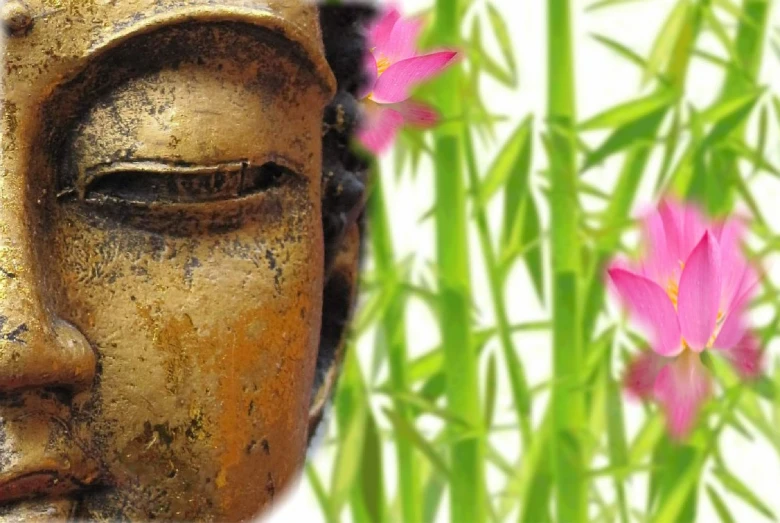 a close up of a statue with flowers in the background, a picture, inspired by Li Di, made of bamboo, setting is bliss wallpaper, header, bronze face