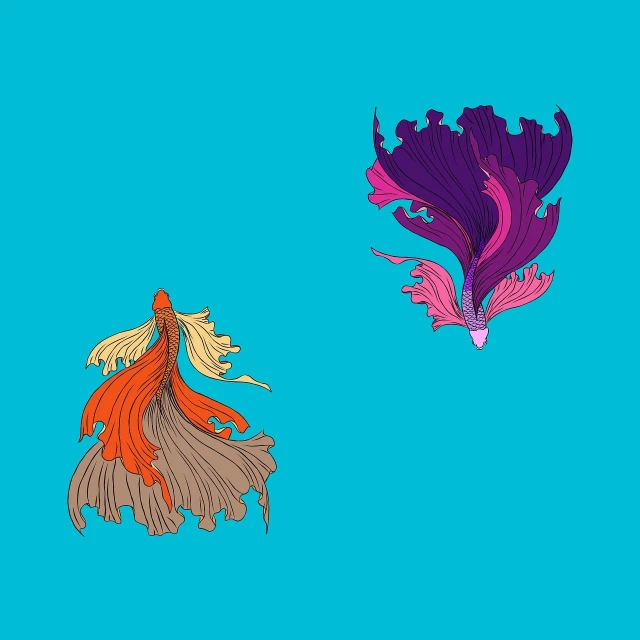 a couple of fish that are next to each other, concept art, inspired by Kameda Bōsai, abstract illusionism, hair fluttering in the wind, flat color and line, betta fish, in style of disney animation