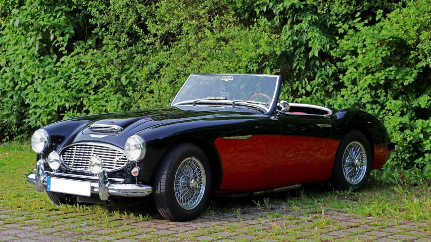 a black and red sports car parked in front of a bush, a portrait, by Hans Schwarz, trending on pixabay, purism, vintage aston martin, open top, pompadour, ham