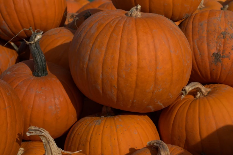 a pile of pumpkins sitting on top of each other, a portrait, closeup photo, high res photo