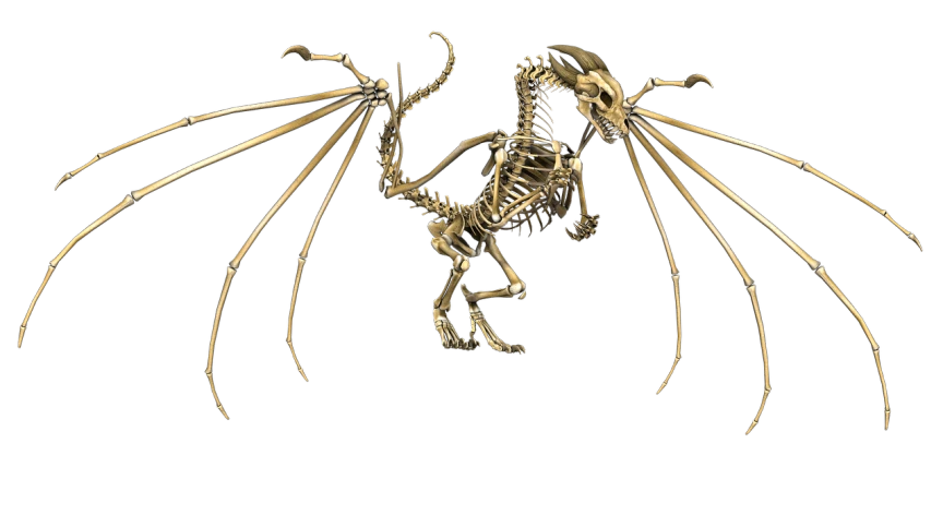 a skeleton of a dragon on a black background, a digital rendering, inspired by Wayne Barlowe, 8 intricate golden tenticles, pterodactyl, f11:10, two legged with clawed feet