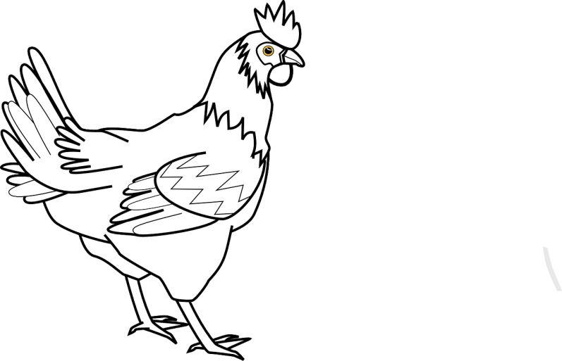a black and white drawing of a chicken, an illustration of, pixabay, sōsaku hanga, full view blank background, colored accurately, animation style, female looking
