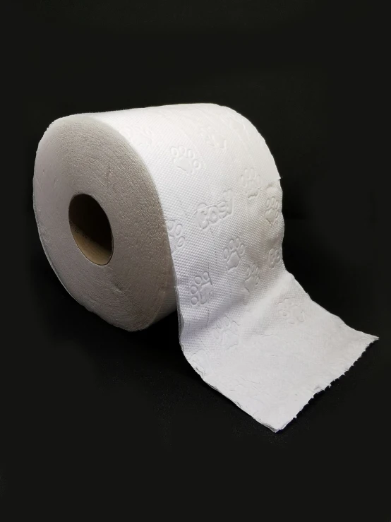 a roll of toilet paper sitting on top of a table, by Milton Menasco, product photography 4 k, embossed, front side full, very detailed!