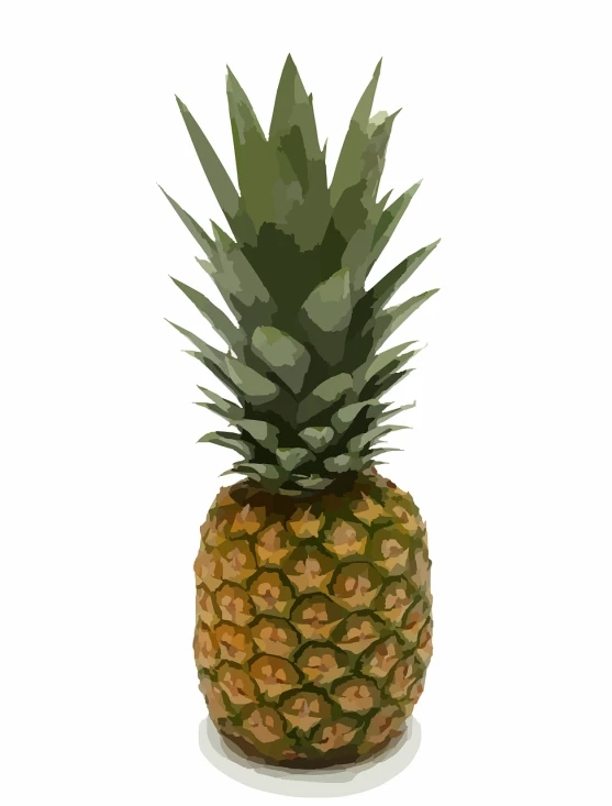 a pineapple sitting on top of a white plate, a digital painting, vectorized, 1128x191 resolution, extra detail, viewed in profile from far away