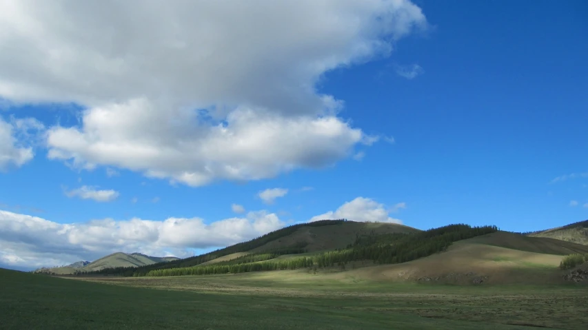 a herd of cattle grazing on top of a lush green field, by Andrei Kolkoutine, flickr, hurufiyya, prismatic cumulus clouds, sparse pine forest, photo of genghis khan, landscape from a car window