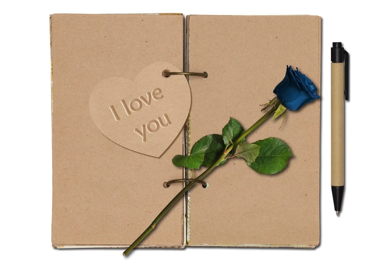 a blue rose sitting on top of a notebook next to a pen, an album cover, romanticism, i love you, cut out of cardboard, ebay photo