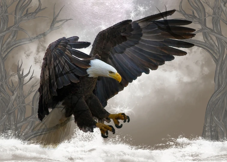a bald eagle flying over a body of water, a portrait, digital art, amazing background, emerging from the mist, flying mud, patriot
