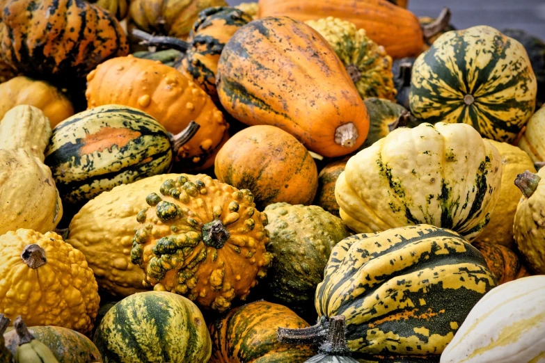 a pile of squash and gourds sitting on a table, a photo, pexels, baroque, beautiful texture, high quality product image”