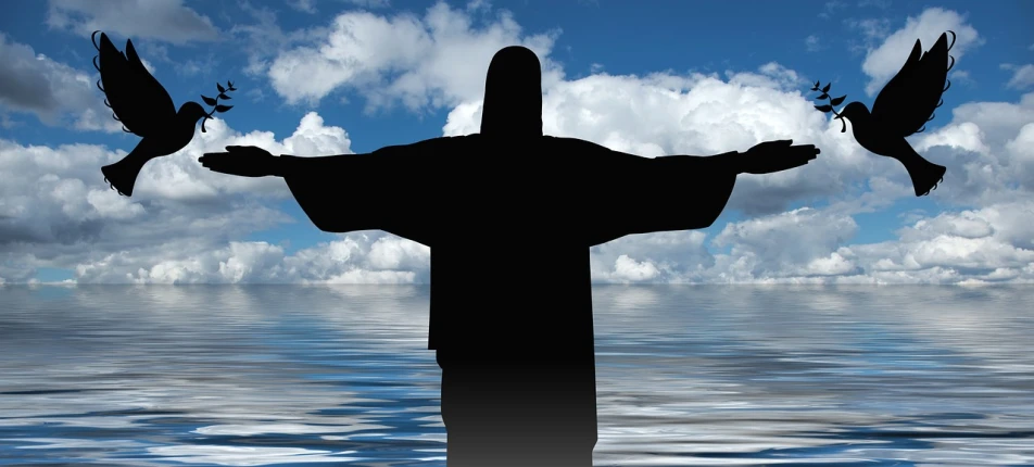 a man that is standing in the water with birds, a raytraced image, pixabay contest winner, christ the redeemer, wearing black robe, character silhouette, wearing cross on robe