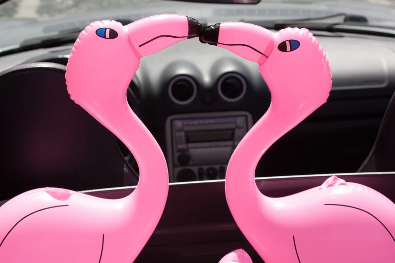 a couple of pink flamingos standing next to each other, inspired by Jeff Koons, flickr, sitting in her car, closeup of arms, inflateble shapes, shot on nikon d 3 2 0 0