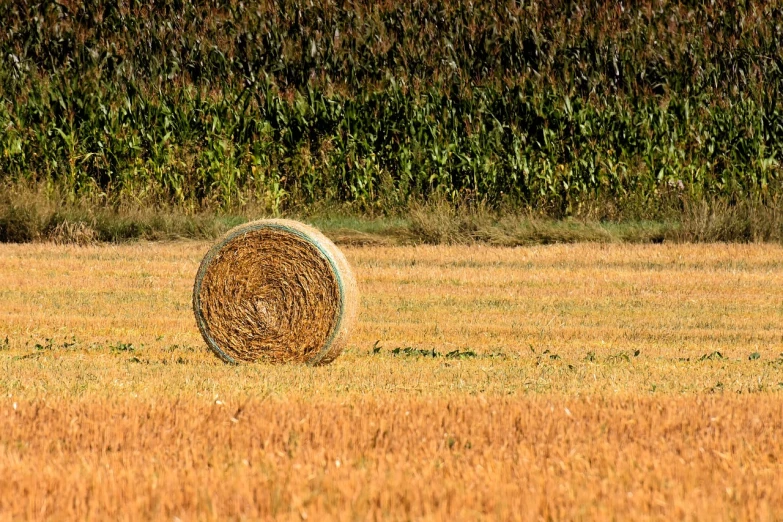 a hay bale sitting in the middle of a field, a stock photo, land art, telephoto shot, in the autumn, beautiful raking sunlight, in front of a round