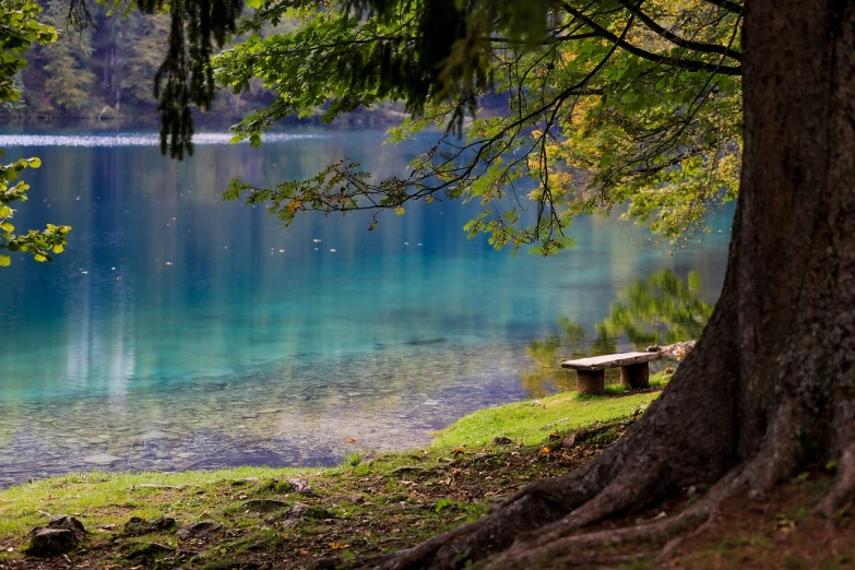 a bench sitting under a tree next to a lake, by Jacob Kainen, flickr, hurufiyya, turquoise palette, lago di sorapis, beautiful lush colors, sitting under a tree