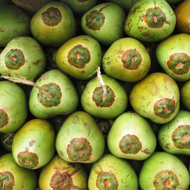 a pile of green apples sitting on top of each other, a screenshot, by Edward Corbett, flickr, hurufiyya, coconuts, beaver, thailand, rum