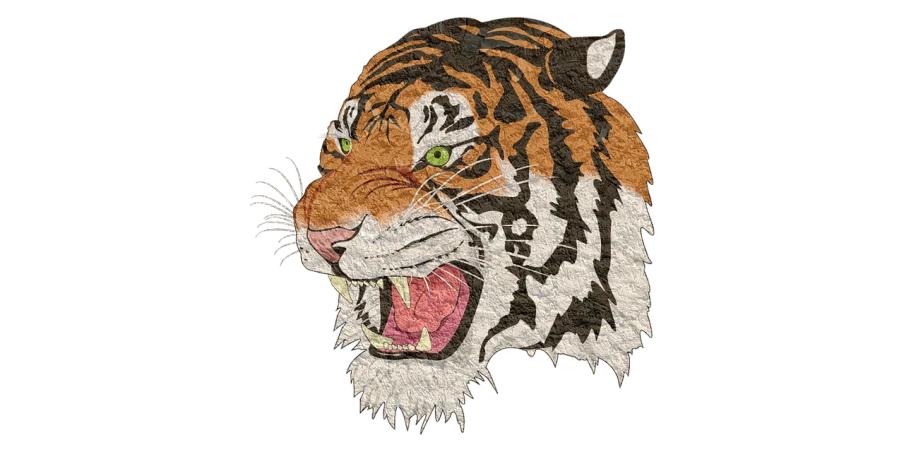 a close up of a tiger's face on a black background, a digital rendering, inspired by Augustin Meinrad Bächtiger, sōsaku hanga, full color illustration, embroidery, sharp high detail illustration, shouting