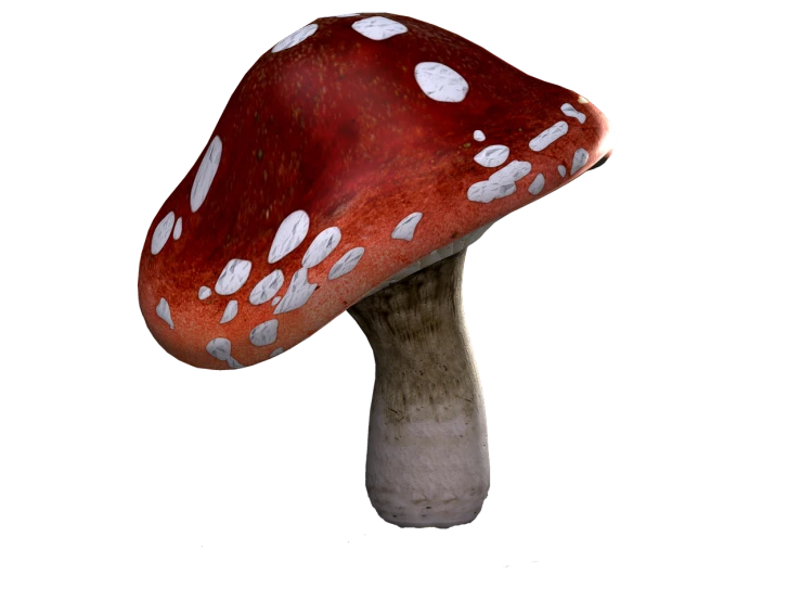 a close up of a mushroom on a black background, a raytraced image, featured on zbrush central, photorealism, red realistic 3 d render, speckled, 8k octae render photo, very very very highly detailed