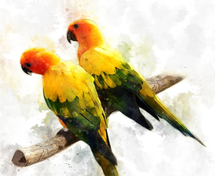 two yellow and green birds sitting on a branch, a digital painting, inspired by Matthias Grünewald, trending on pixabay, digital art, beautiful art uhd 4 k, watercolor artwork of exotic, oil in canvas style, lovely couple