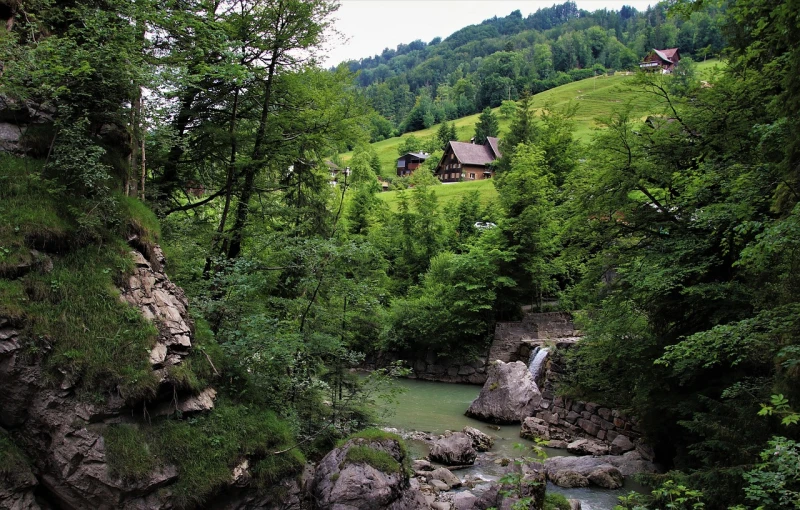 a river running through a lush green forest, by Franz Hegi, flickr, log houses built on hills, slovenian, beautiful house on a forest path, waterfall in the background