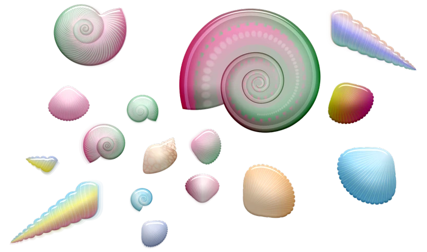 a bunch of different types of seashells on a black background, a raytraced image, inspired by Anna Füssli, zbrush central, generative art, candy colors, rounded shapes, snail, made in paint tool sai2