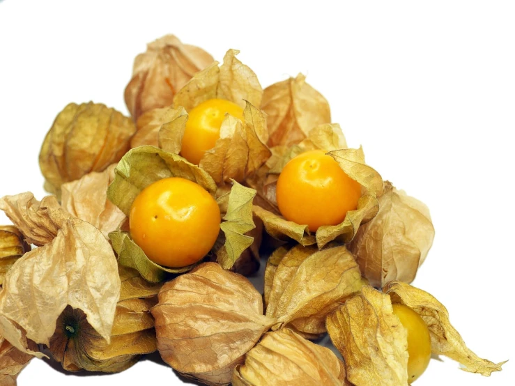 a pile of fruit sitting on top of a white surface, shutterstock, art nouveau, yellowed with age, qiangshu, gooseman, 1 7 mm