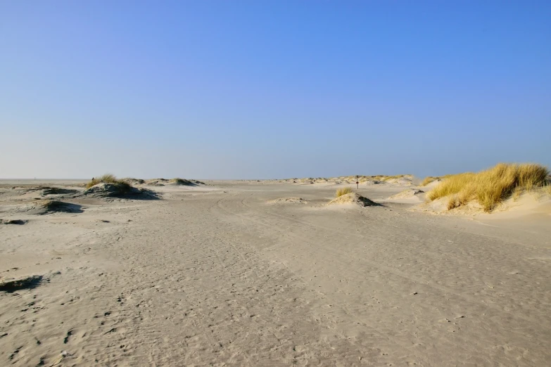 there is no image here to provide a caption for, by Thomas de Keyser, flickr, minimalism, dunes in the background, 4k high res, the lost beach, seen from a distance