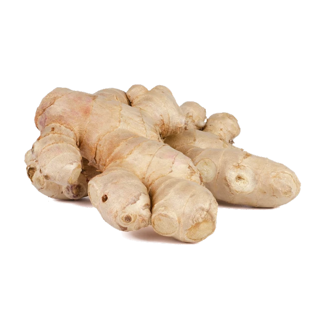 a close up of a ginger root on a black background, a digital rendering, renaissance, miniature product photo, high quality product photo, guggimon, on clear background